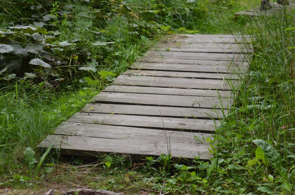 Huberhof Im Almenland Lägenhet Sankt Kathrein am Offenegg Exteriör bild