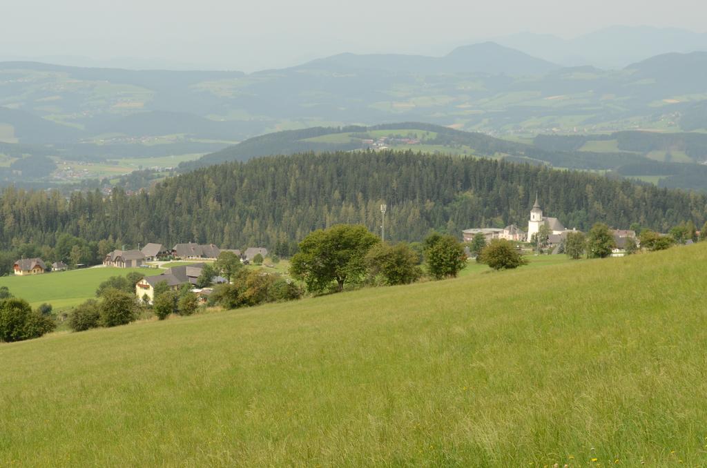 Huberhof Im Almenland Lägenhet Sankt Kathrein am Offenegg Exteriör bild