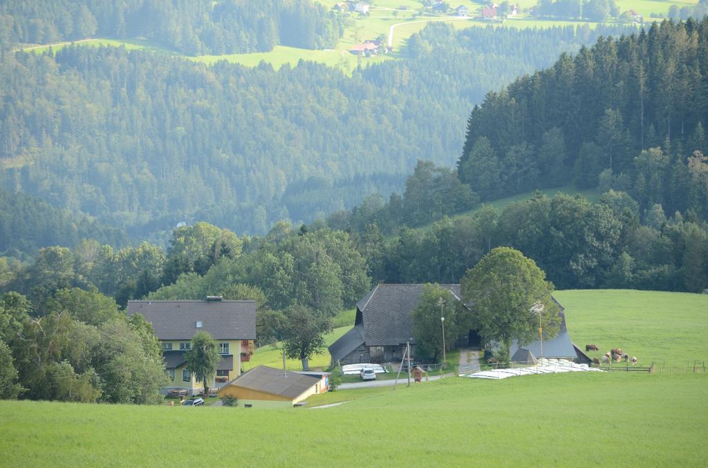 Huberhof Im Almenland Lägenhet Sankt Kathrein am Offenegg Exteriör bild