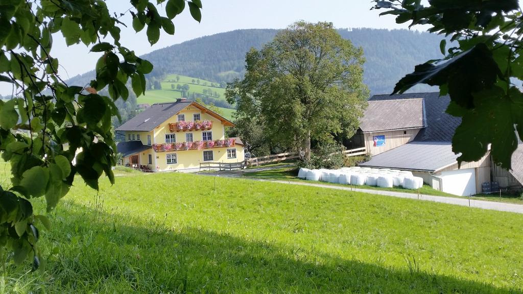 Huberhof Im Almenland Lägenhet Sankt Kathrein am Offenegg Exteriör bild