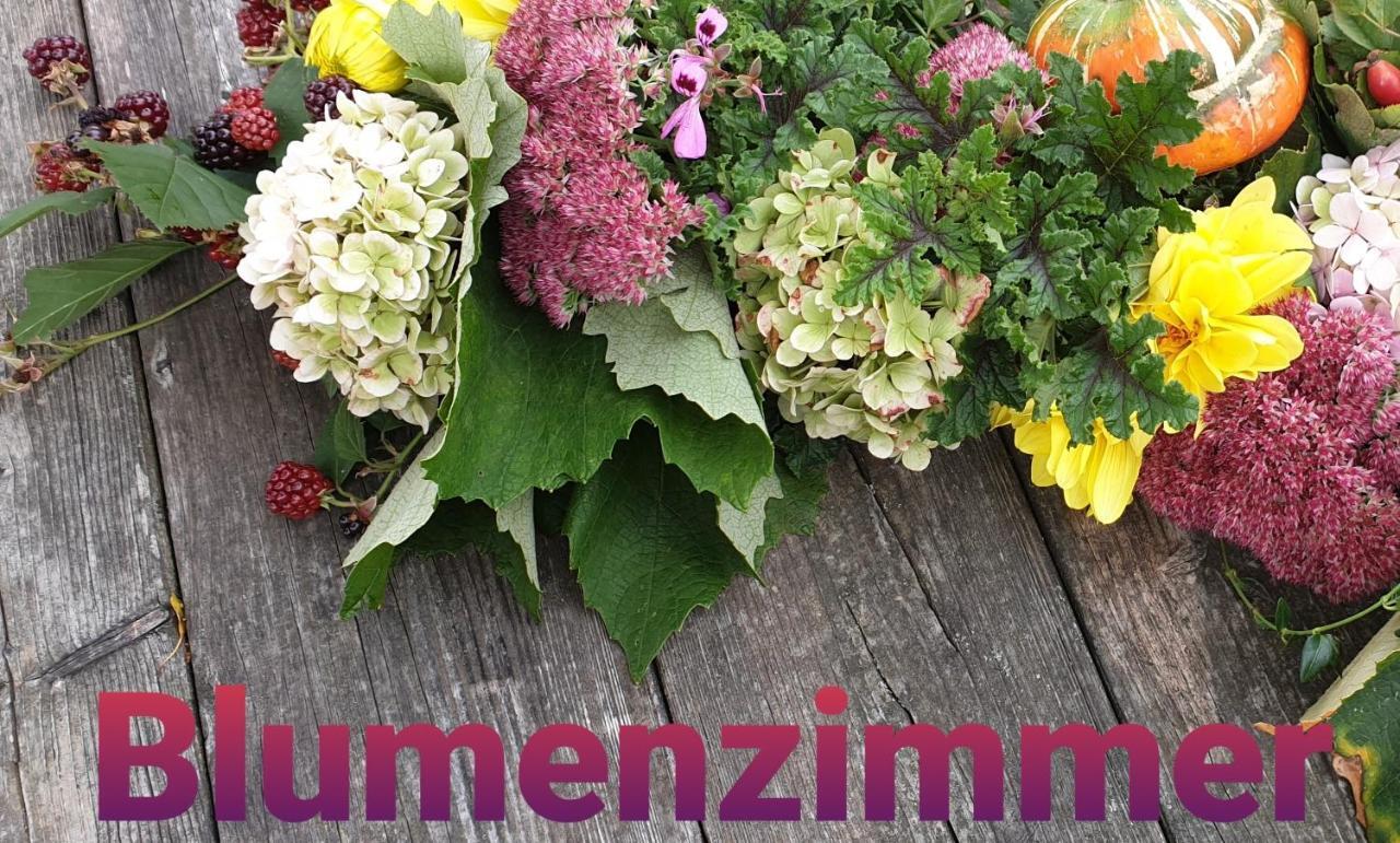 Huberhof Im Almenland Lägenhet Sankt Kathrein am Offenegg Exteriör bild